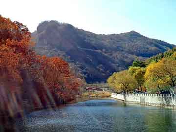 澳门天天彩期期精准平肖，力狮旅行版